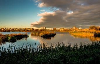 Calm lake reflecting a mix of blue sky and dark clouds at sunset, surrounded by reeds. Distant buildings under a warm, golden light evoke serenity.