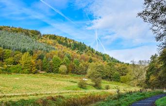 dalby forest