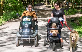 A family walking around a pathway at Wyre Forest, one on foot pushing a wheelchair and walking a dog and another on a tramper