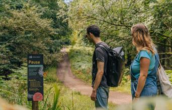 A couple at Symonds Yat Rock looking at a sign in the forest