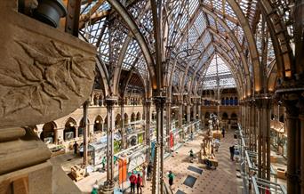 inside view of collection at Oxford University Museum of Natural History