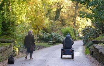 Couple exploring Batsford Arboretum & Garden Centre one in a wheelchair and one walking with a dog