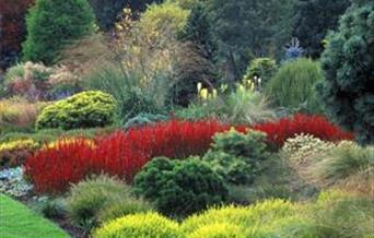 Bressingham Steam Experience and Gardens