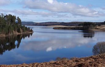 Lake area at Calvert Kielder