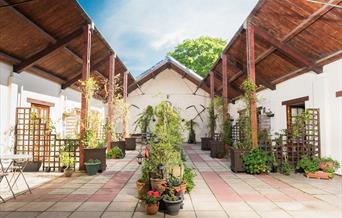 Hall Farm Cottage Courtyard with lots of plants and the sun is shinning