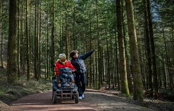 Wheelchair user following accessible pathways around Beechenhurst