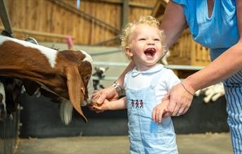 Farmer Palmer's Farm Park
