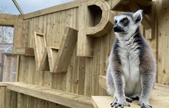 Lincolnshire Wildlife Park