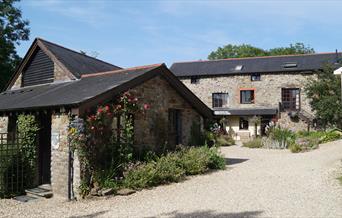 Driveway up the cottages at North Hayne Farm Cottages