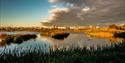Calm lake reflecting a mix of blue sky and dark clouds at sunset, surrounded by reeds. Distant buildings under a warm, golden light evoke serenity.