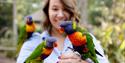 person hand feeding the lorikeet birds at Longleat