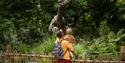 parent and child looking at a dinosaur at Hertfordshire Zoo