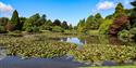 The lake with lily pads and surrounded by trees at Sheffield Park and Gardens