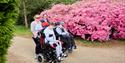 A family following the path at Sheffield Park and Gardens, two in wheelchairs and two walking behind