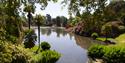 Trees surrounding a lake at Sheffield Park and Gardens