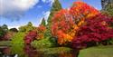 Red and green trees on the edge of the lake at Sheffield Park and Gardens