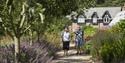 A couple walking through a garden area at National Trust Quarry Bank
