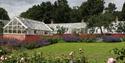 Green house exterior surrounded by purple and white flowers at National Trust Quarry Bank