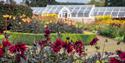 Flowers at Helmsley Walled Gardens with botanical house in the background