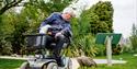 man on wheelchair with geese at WWT Slimbridge