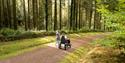 Two people exploring, one on foot and one in a wheelchair Cardinham Woods