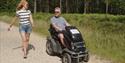 A couple exploring Moors Valley Country Park and Forest, one on foot and one using an all terrain wheelchair