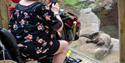 women in wheelchair at Longleat looking at the otters