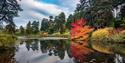 A lake and trees at Bedgebury National Pinetum and Forest