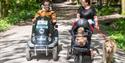 A family walking around a pathway at Wyre Forest, one on foot pushing a wheelchair and walking a dog and another on a tramper