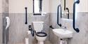 shows toilet and sink with handrails