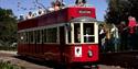 People on the Seaton Tramway in movement