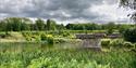 Greenery and lakes at Bedgebury National Pinetum and Forest