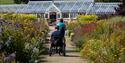 A person using a wheelchair to explore Helmsley Walled Gardens