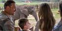 family looking at elephants at West Midlands Safari Park