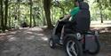 Alice Holt Forest