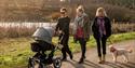 A family walking with a dog and pushchair at Bedgebury National Pinetum and Forest
