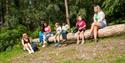 a group of people sat on a tree branch at Haldon Forest Park