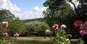 woodcombe cottages garden