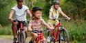 A family riding bikes at Bedgebury National Pinetum and Forest