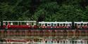land train at Longleat