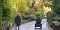 Couple exploring Batsford Arboretum & Garden Centre one in a wheelchair and one walking with a dog