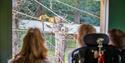 Family with child in wheelchair looking at monkeys at Woburn Safari Park