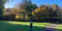 A pathway through Alice Holt Forest lined with trees and a sign post