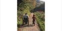 guests exploring Todsworthy Farm Holidays, one on a bike and one in a wheelchair