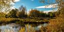 A tranquil pond reflects autumnal trees under a clear blue sky, with people walking along a distant path. Ripples in the water add serenity.