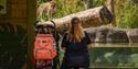 person with a buggy looking at animals at Hertfordshire Zoo