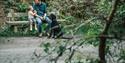 Family and dog at Wyre Forest  (credit Forestry England)