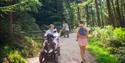Groups of people following the trails at Haldon Forest Park with a person in an all terrain scooter