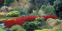 Bressingham Steam Experience and Gardens
