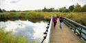 Two people walk on a wooden bridge over a tranquil waterway with swans. They are surrounded by lush reeds and trees under a partly cloudy sky.
